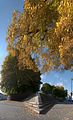 ndh_10_2012- (2)
